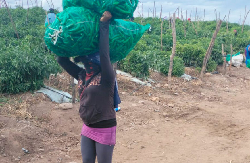 El viacrucis de las mujeres trabajadoras agrícolas