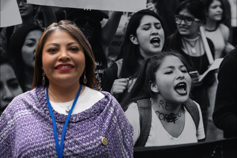 Hay 94 leyes estancadas en favor de mujeres, en Comisión de Igualdad de Género en Cámara de Diputados