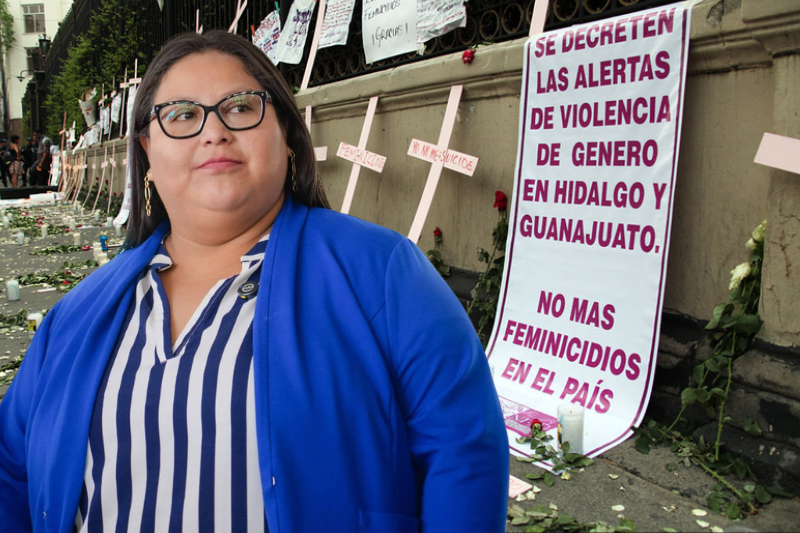 Citlalli Hernández dejó las Alertas de Violencia de Género abandonadas: María Luz Estrada