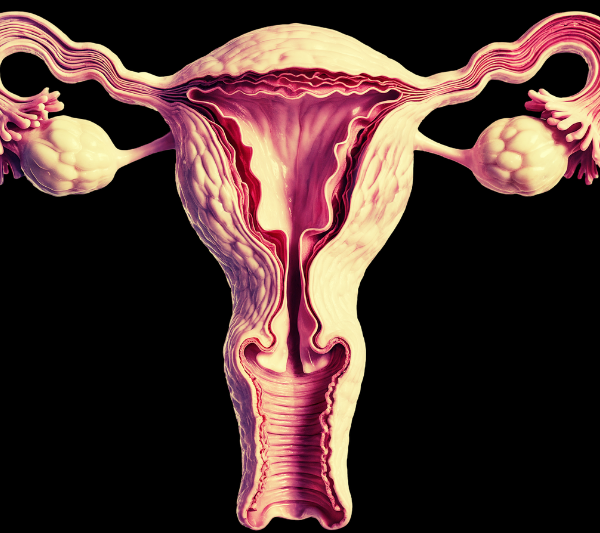 Mujeres con síndrome de ovario poliquístico, propensas a depresión y ansiedad