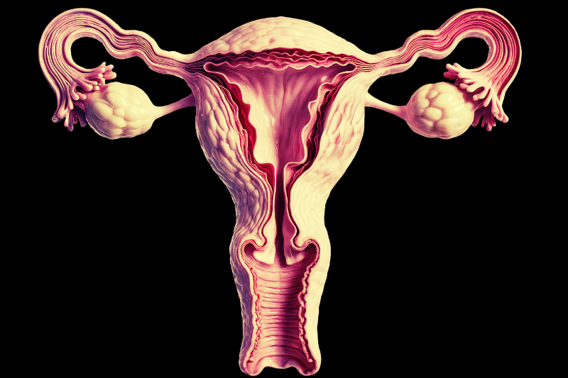 Mujeres con síndrome de ovario poliquístico, propensas a depresión y ansiedad