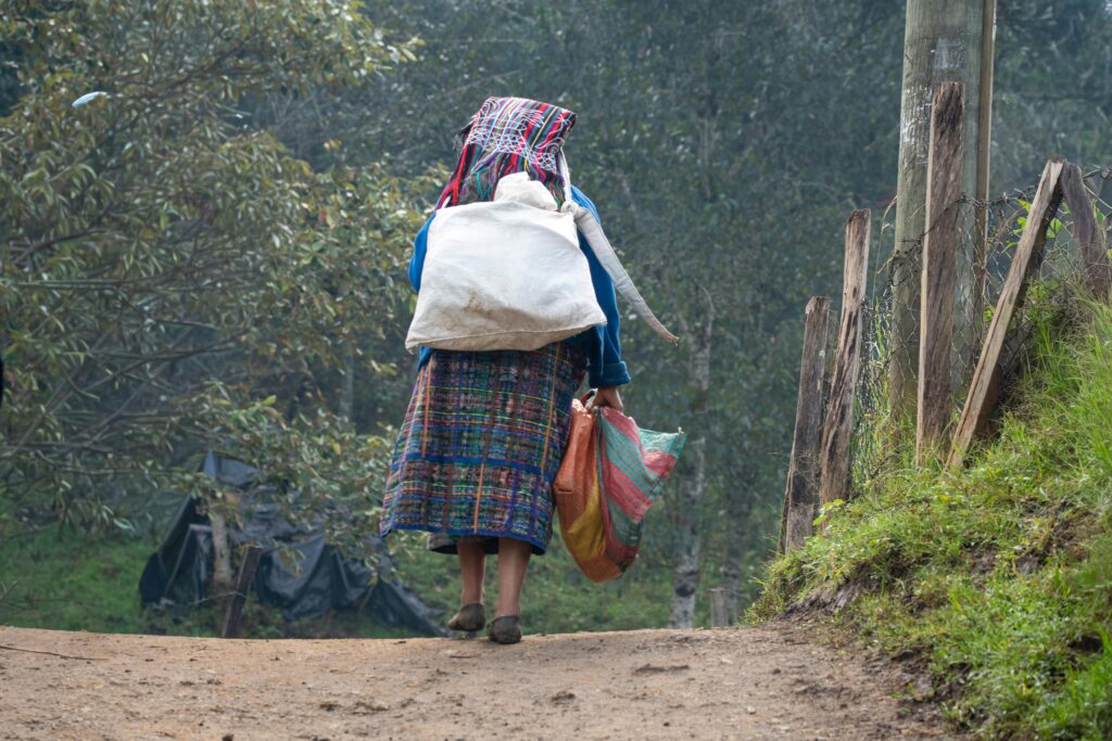 El retorno forzado. Violencia y vacío estatal para migrantes guatemaltecas