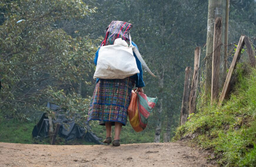 El retorno forzado. Violencia y vacío estatal para migrantes guatemaltecas