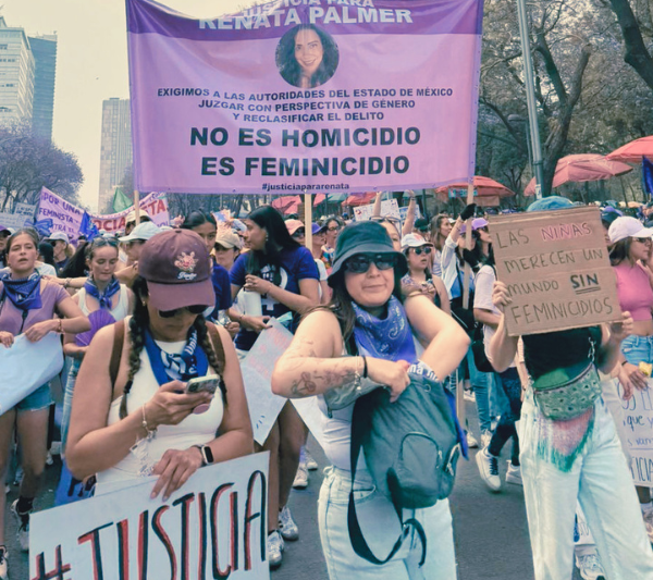 Todas las entidades registran casos de violencia sexual contra mujeres. El país acumula 208 feminicidios