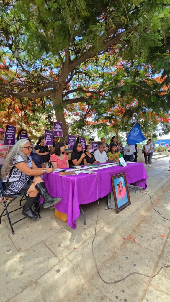 Redignificación, exigen familiares de Saraí y Evolet, víctimas de feminicidio por omisión del IMSS
