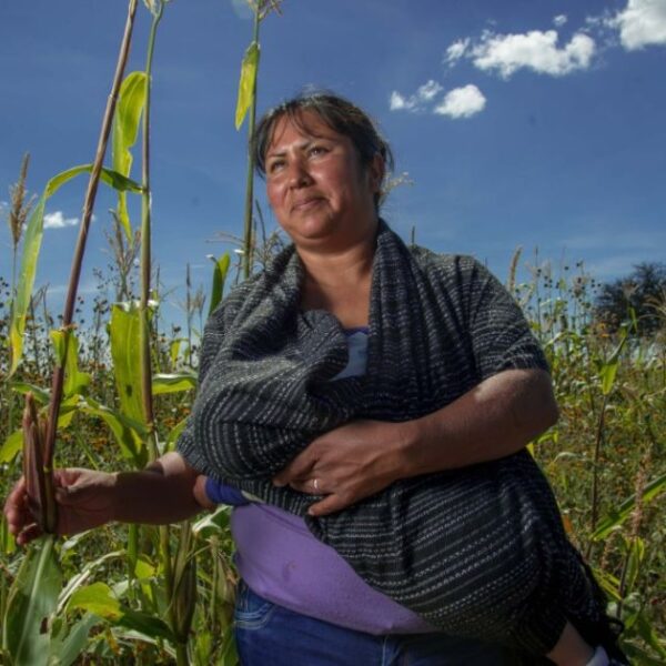 Bono de Género destinará 12 mil millones de pesos para fortalecer a las mujeres del campo mexicano