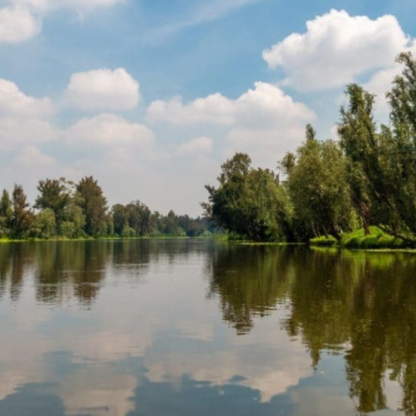 Defensoras ambientales exigen mayor protección en México