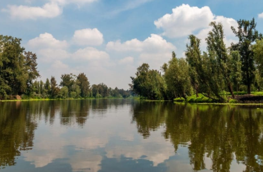 Defensoras ambientales exigen mayor protección en México